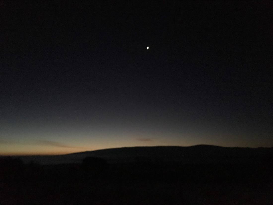 venus_day-after-bodhi_day