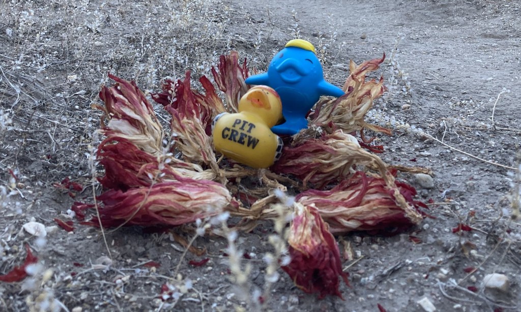 This image has an empty alt attribute; its file name is magic_flowers_service.jpg