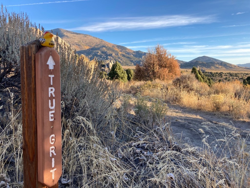 This image has an empty alt attribute; its file name is true_grit.jpg